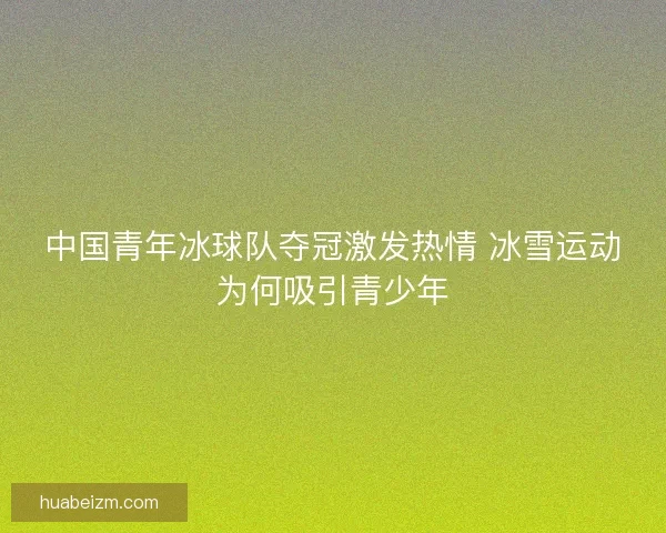 中国青年冰球队夺冠激发热情 冰雪运动为何吸引青少年